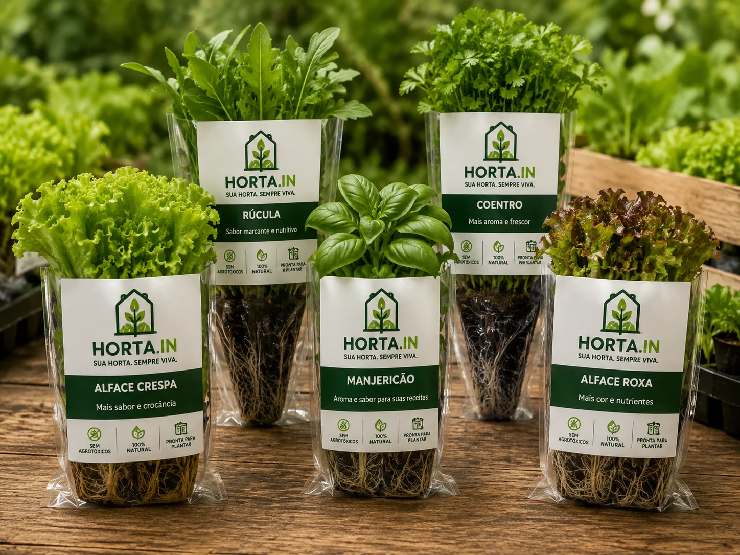 Mudas para cultivo HORTA.IN